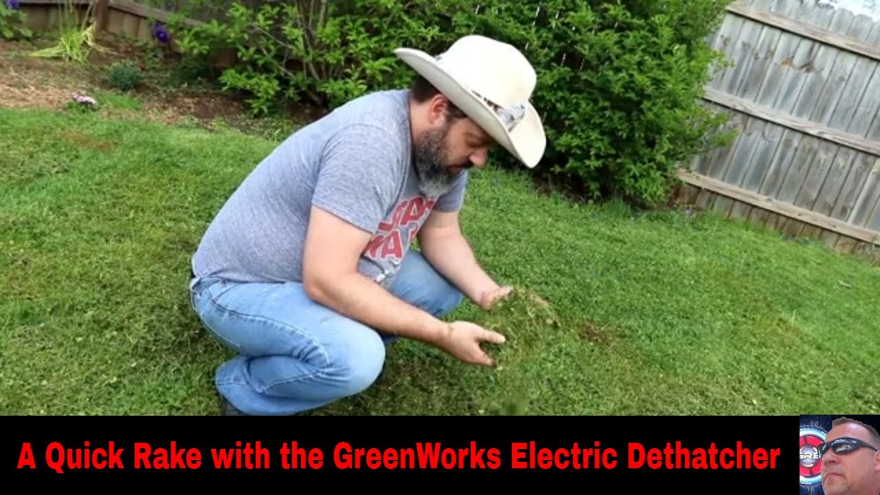 GreenWorks Electric Lawn Dethatcher Dethatching the back yard YouTube