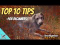 Top 10 tips and tricks for beginners in the hunter call of the wild