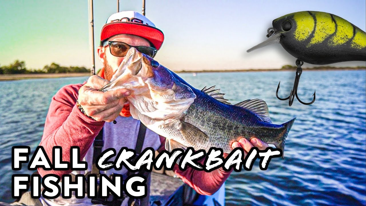 Fishing Squarebill Crankbaits In The Fall for BIG BASS!