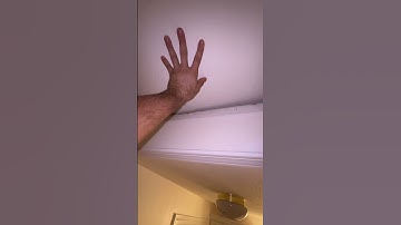 I have rats in my attic