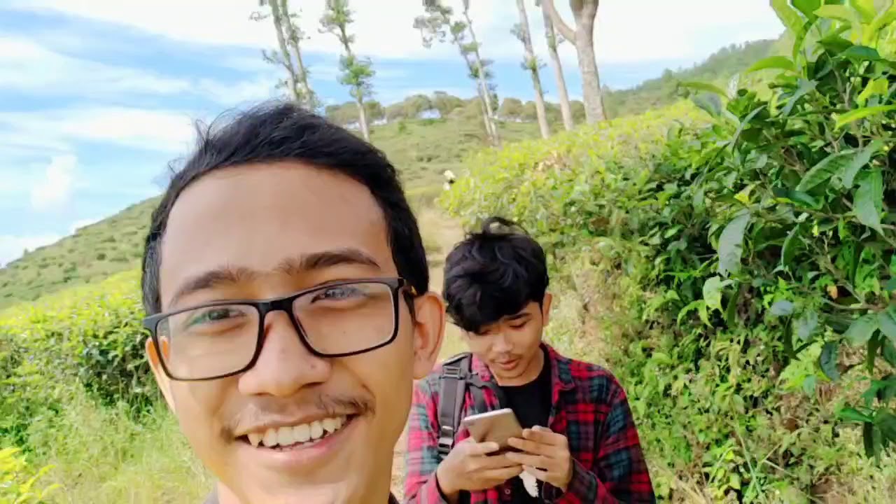 KEBUN TEH JAMUS | WISATA ALAM | NGAWI | 2020 - YouTube
