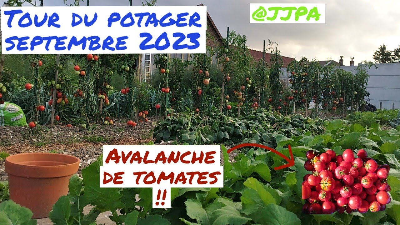 Le tour de potager septembre 2023 dans le Nord