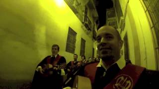 Video thumbnail of "Tuna de Derecho de Sevilla - Pasacalles hasta la Catedral 07/12/2012"