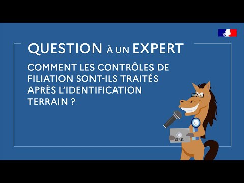 SIRE - Comment les contrôles de filiation sont-ils traités après l'identification terrain ?