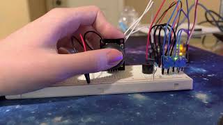 Celebrity Lab 6 part 1 demo Net Worth