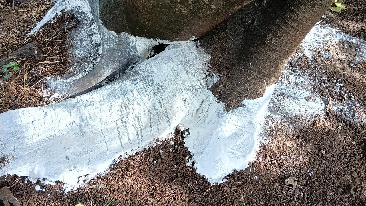 HUBEY Calce Algale 2,5 Kg - Fertilizzante Biologico Contro La Piralide Del Bosso E Per Piante Sane