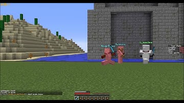MCPVP | Hacker Report #14 | lijeedee