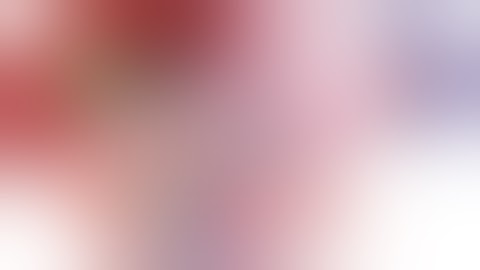 Laparoscopic D2 Gastrectomy for Distal Gastric Cancer