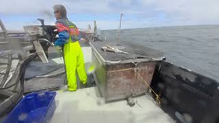 Commercial shark fishing Bass Strait  Hauling