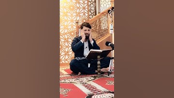 SURAH AL-BALAD سورة البلد || BY OBAIDA MUAFAQ عبيدة موفق #iqrau_quran #عبيدة_موفق #quran