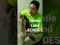 Gentle Land ECHOES #cover #弾き語り #音楽 #ギター #アコースティック #music #guitar #acoustic #shorts