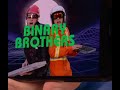 Binary bros theme song  original