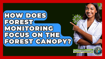 How Does Forest Monitoring Focus On The Forest Canopy? - Earth Science Answers