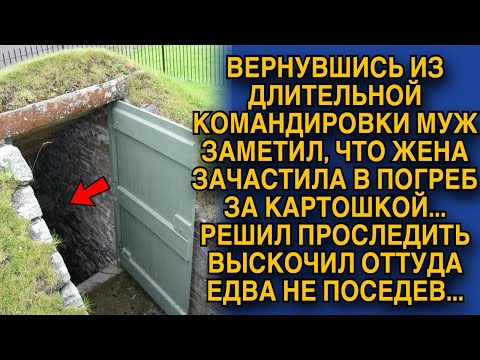 Муж вернулся с длительной командировки и заметил что его жена зачастила ходить в погреб, а проследив