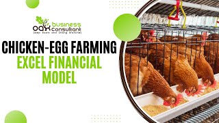 Chicken-Egg Farming Excel Financial Model screenshot 2