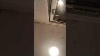 Part 4 A Day In The Life Of A Teenager The Day Before School School