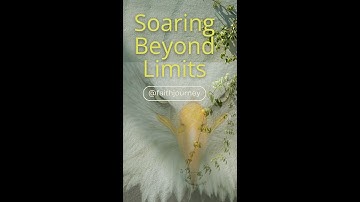 Soaring Beyond Limits: The Eagle’s Path to Greatness