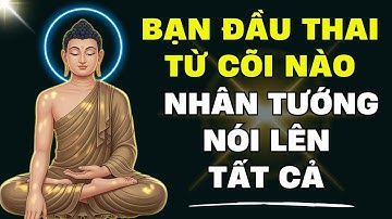 Nhân Tướng nói lên tất cả: Bạn Đến Từ Cõi Trời, Người, Ngạ Quỷ, Súc Sinh, Atula Hay Địa Ngục?