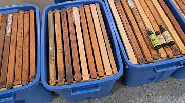 Prepping for swarm season. How I catch swarm.