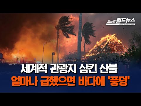 세계적 관광지 삼킨 산불.. 얼마나 급했으면 바다에 &#39;풍덩&#39; / OBS 오늘의 월드뉴스