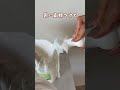 商品ページはプロフリンク見てね🔍これめっちゃよかったー😭🩷🩷お手入れいらず!#便利グッズ