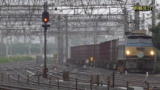 2016/09/19 [JR貨物] 5095レEF66-33号機 [広島公開HM付き]