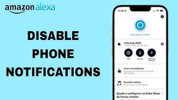 How To Disable Phone Notifications On Amazon Alexa App