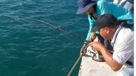 Trải Nghiệm Chuyến Cuối Ra Trụ Điện HÒN SƠN Câu Cá Ngát Khi Gió Nam Về