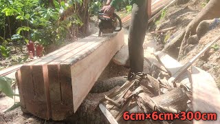 The process of making ribs measuring 6 cm × 6 cm using a chainsaw