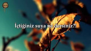Vakıa Suresi Nasser al Qatami