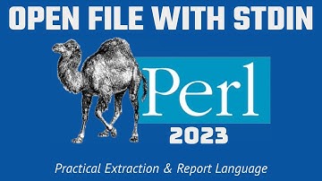 Perl Programming - OPEN FILE With STDIN 2023
