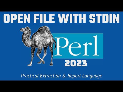 Perl Programming - OPEN FILE With STDIN 2023