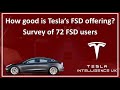 Buy Tesla FSD? Experience from 72 FSD Users in 2020