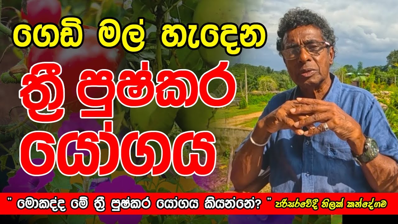 මොකද්ද මේ 