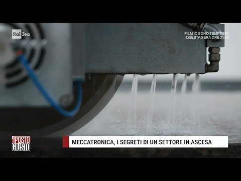 Meccatronica, i segreti di un settore in ascesa. Di Lorenzo Castelli - Il posto giusto 13/02/2021