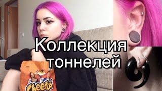 Моя коллекция плаг и тоннелей | Всё о тоннелях