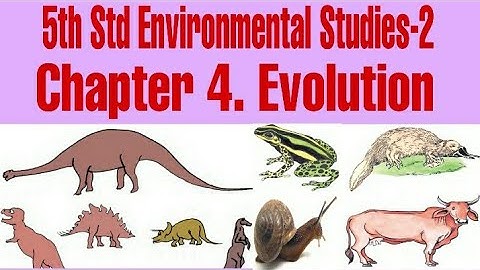 Class 5, Evolution, EVS 2, Chapter 4, History, Maharashtra Board