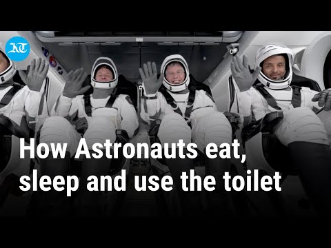 Explained: How astronauts live in space | UAE space mission | Sultan Al Neyadi