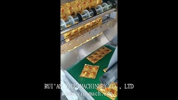 NSL 350 Strip Packing Machine for Tablet21112802