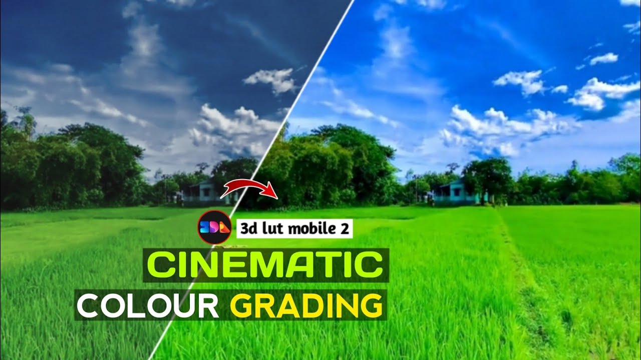 3d lut mobile 2 Cinematic Colour Grading Tutorial || 3d lut mobile 2 Bangla Tutorial ||