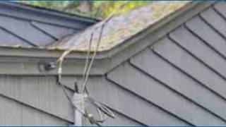 MLGW officials urge customers to check on their homes weatherhead