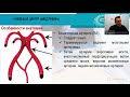 Бесплатный вебинар «Ультразвуковая диагностика шейных сегментов позвоночных артерий: 2020»