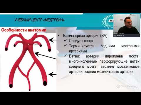 Бесплатный вебинар «Ультразвуковая диагностика шейных сегментов позвоночных артерий: 2020»