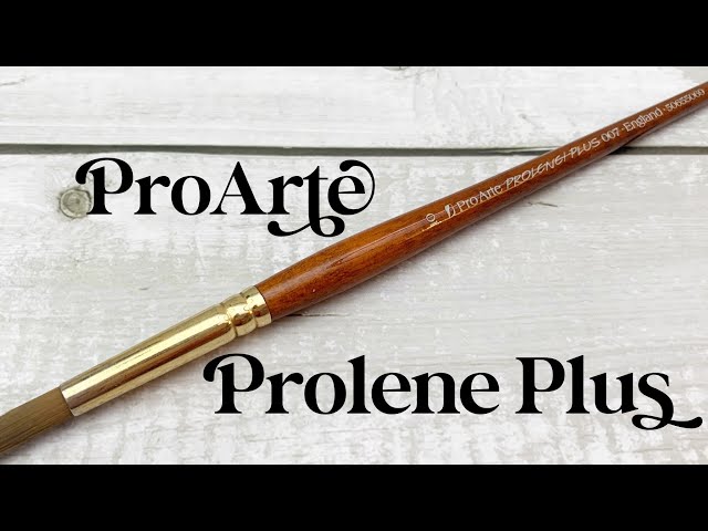 Portable Pro Arte Prolene Plus Brush Set