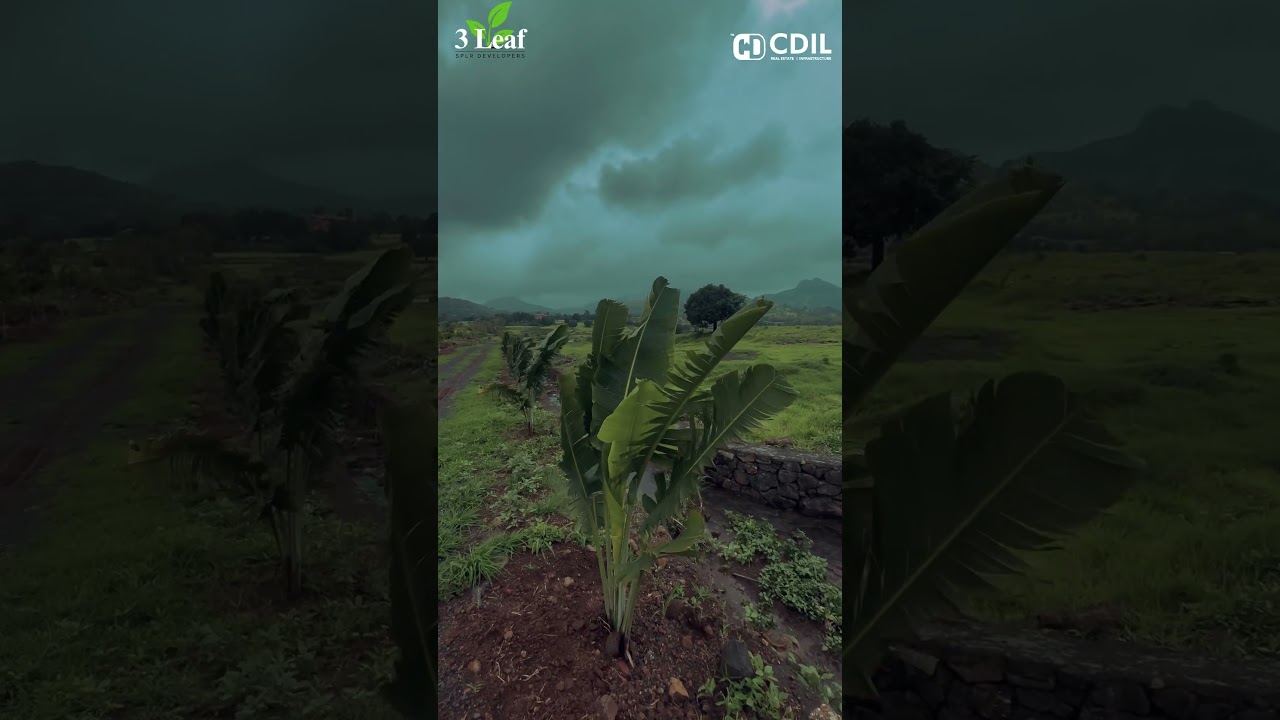 🏡 3 Leaf &ndash; A Nature-Luxury Farmhouse Plot Project by CDIL #farmhouseplots