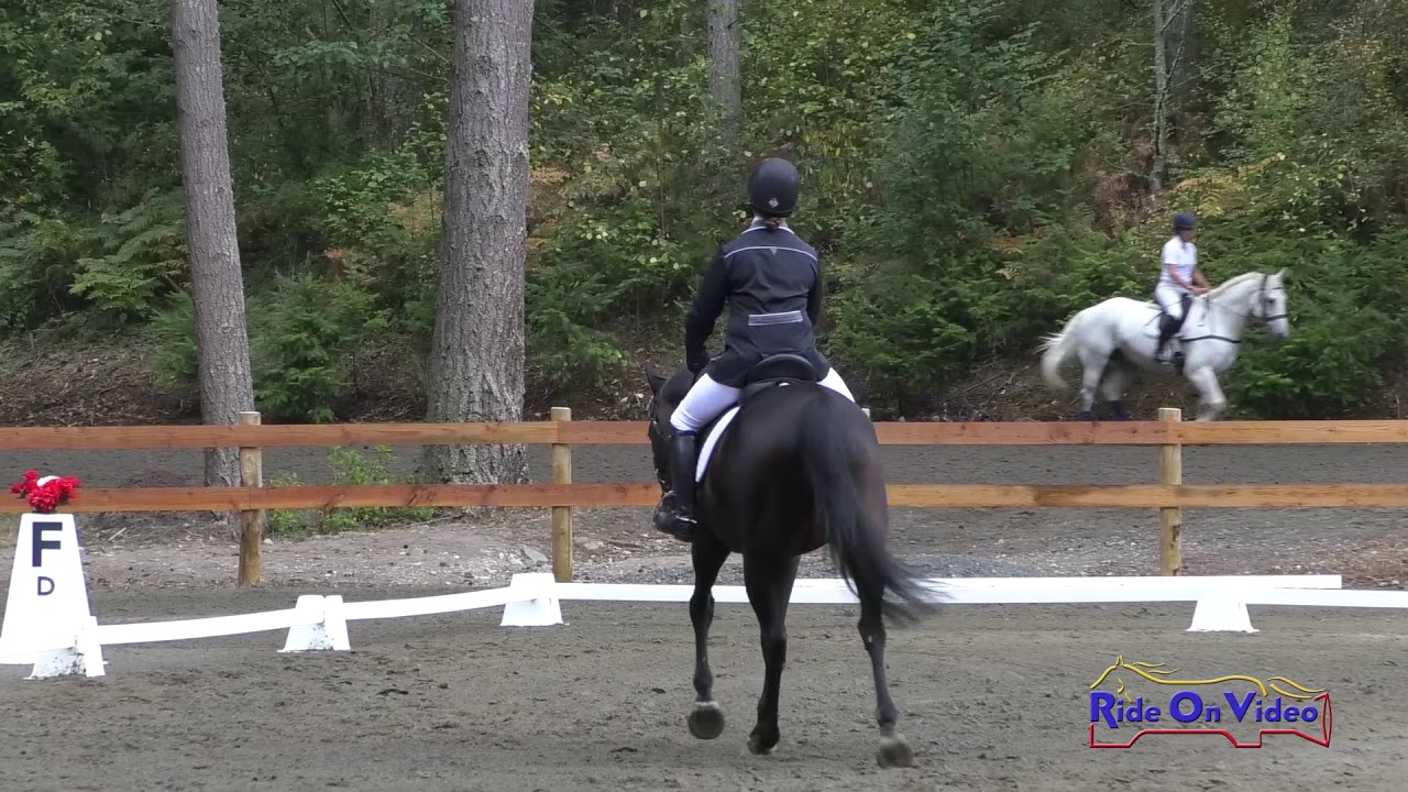 september zodiac sign 059D Anni Grandia on Halcyon Open Preliminary Dressage Aspen Farms September 2019