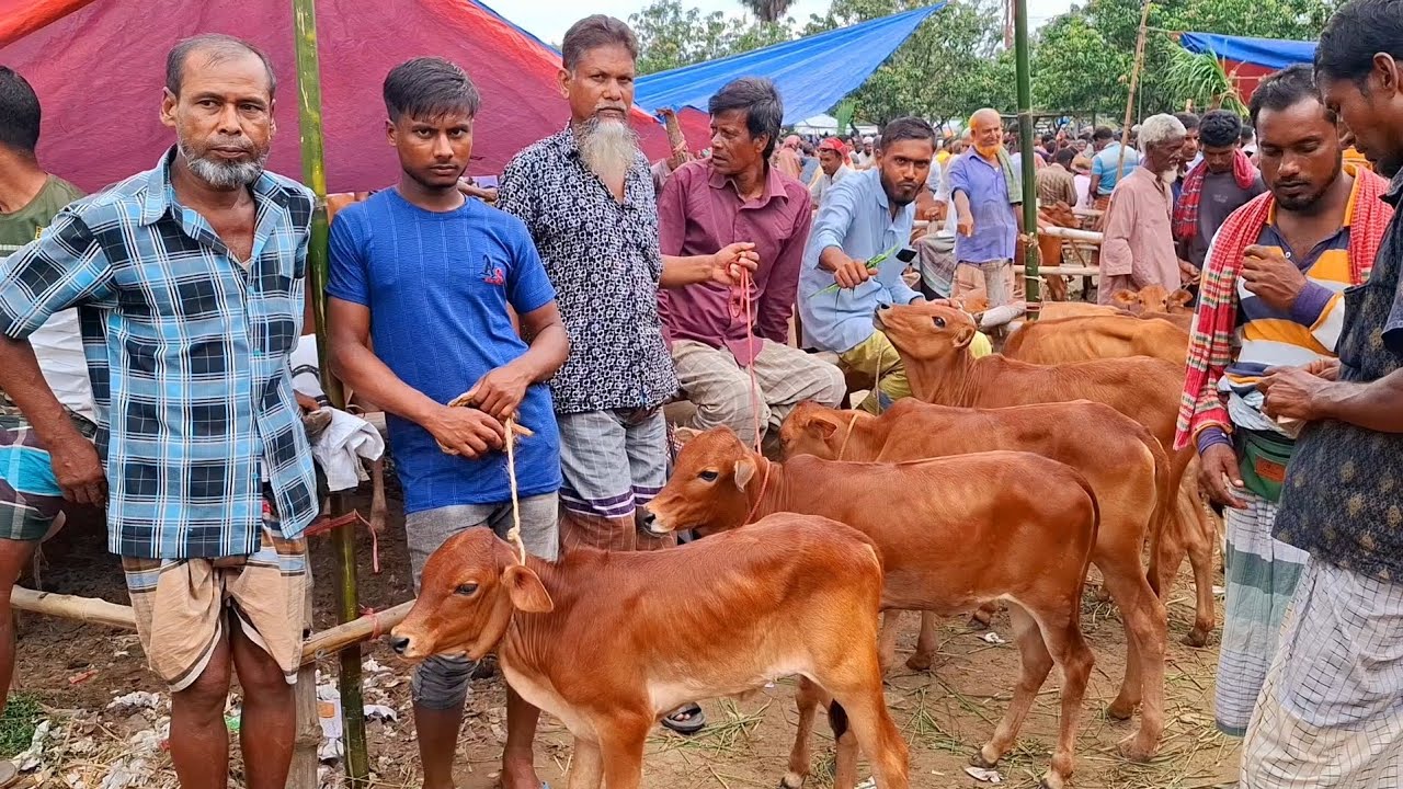 আজ ২৮ আগস্ট 2025