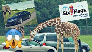 Six Flags Great Adventure Safari Drive Thru | Tour & Review | 2020