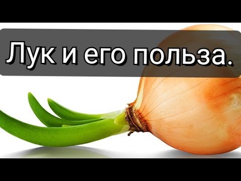 Лук и его польза. Кому нужно регулярно есть лук