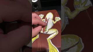 Frog Dissection Model